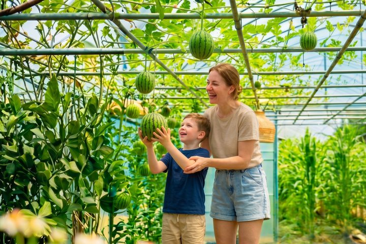 Seasonal Fruit Picking & Dream Cattle Farm Full-Day Experience - Photo 1 of 22